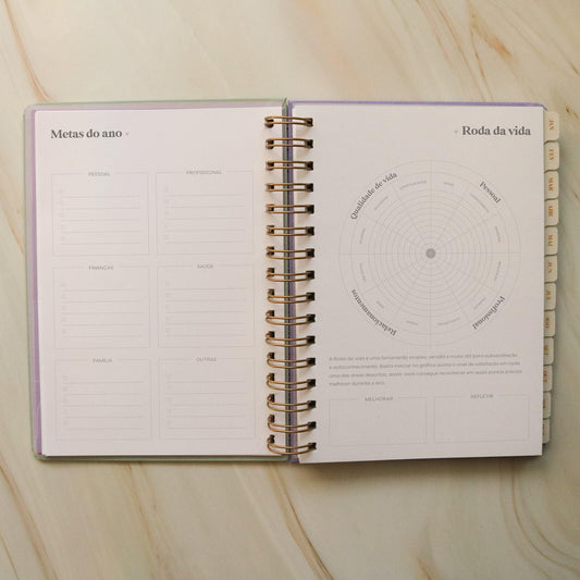 As vantagens de usar a ferramenta Roda da Vida | Ammê