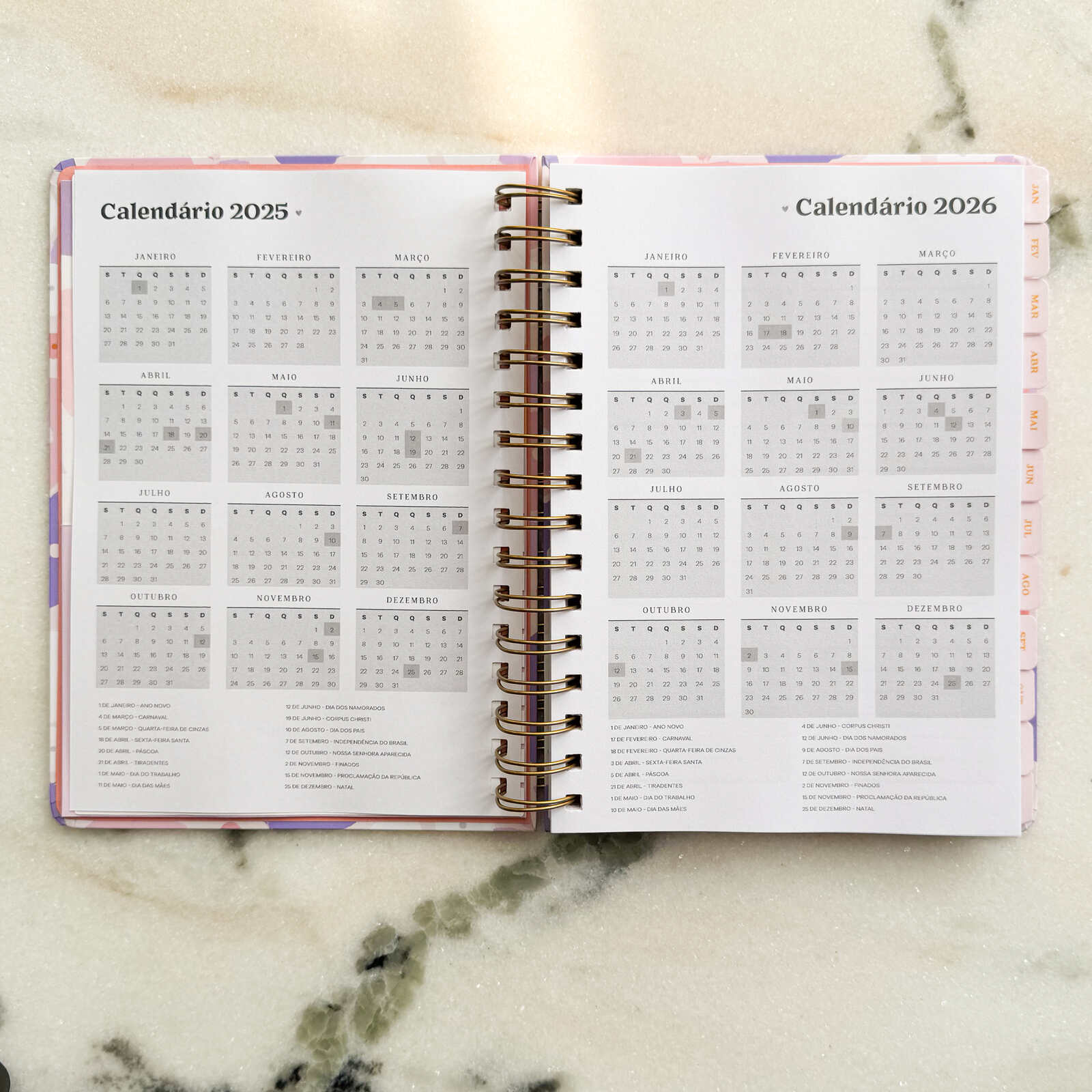 Planner 2025 Printemps | Ammê