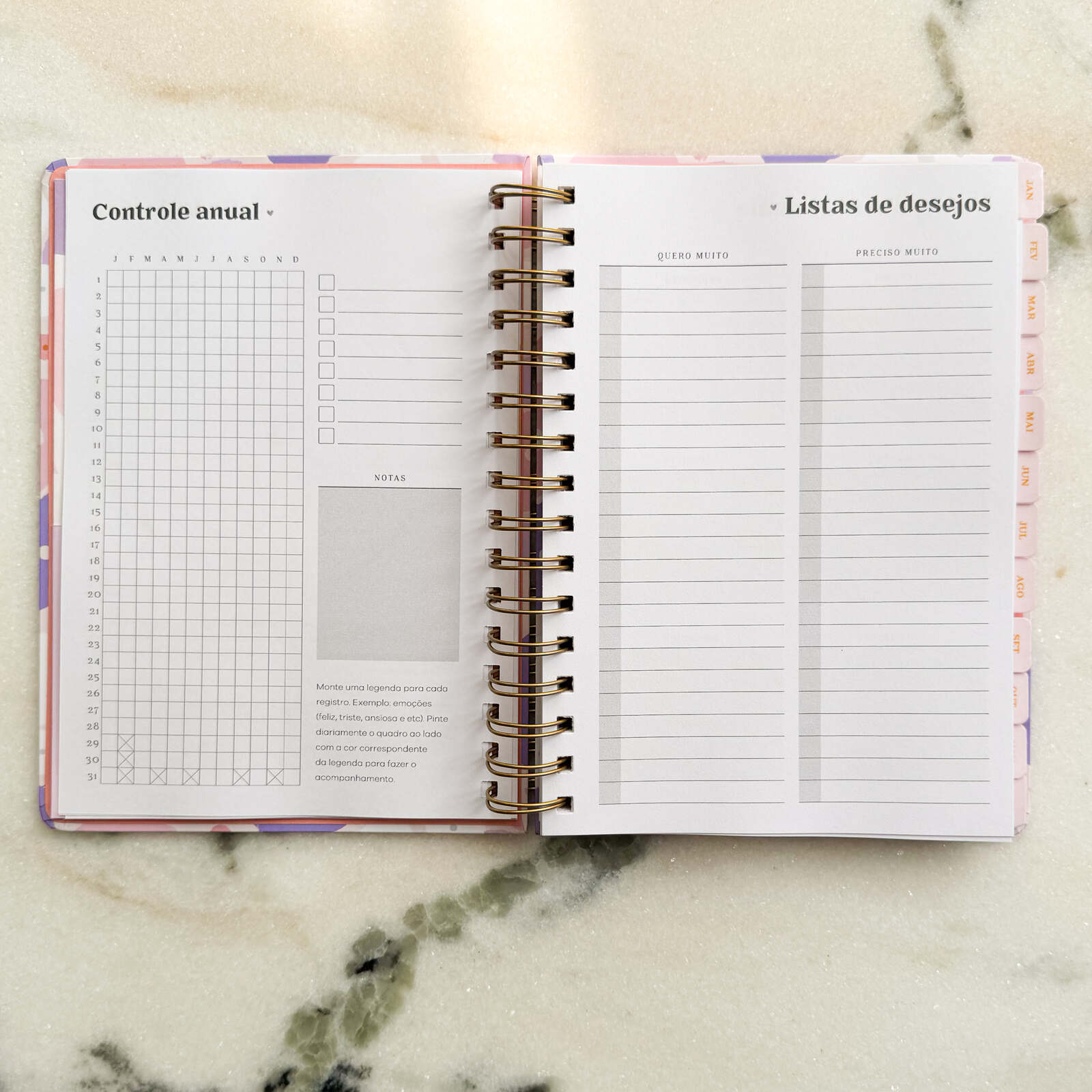 Planner 2025 Printemps | Ammê